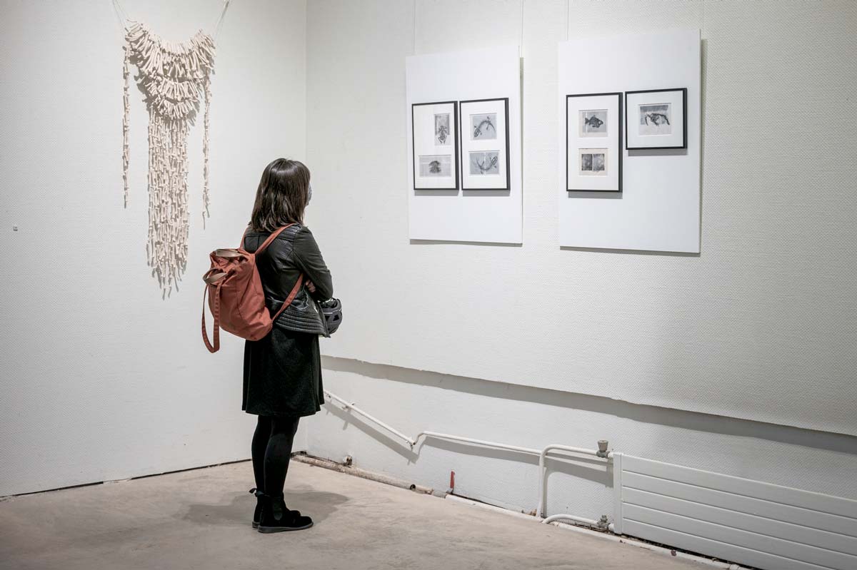 Exposition à l'Orangerie Tête d'Or