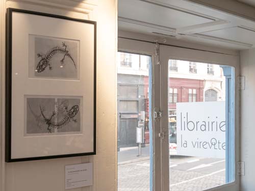 Exposition Structures Animales - La Virevolte